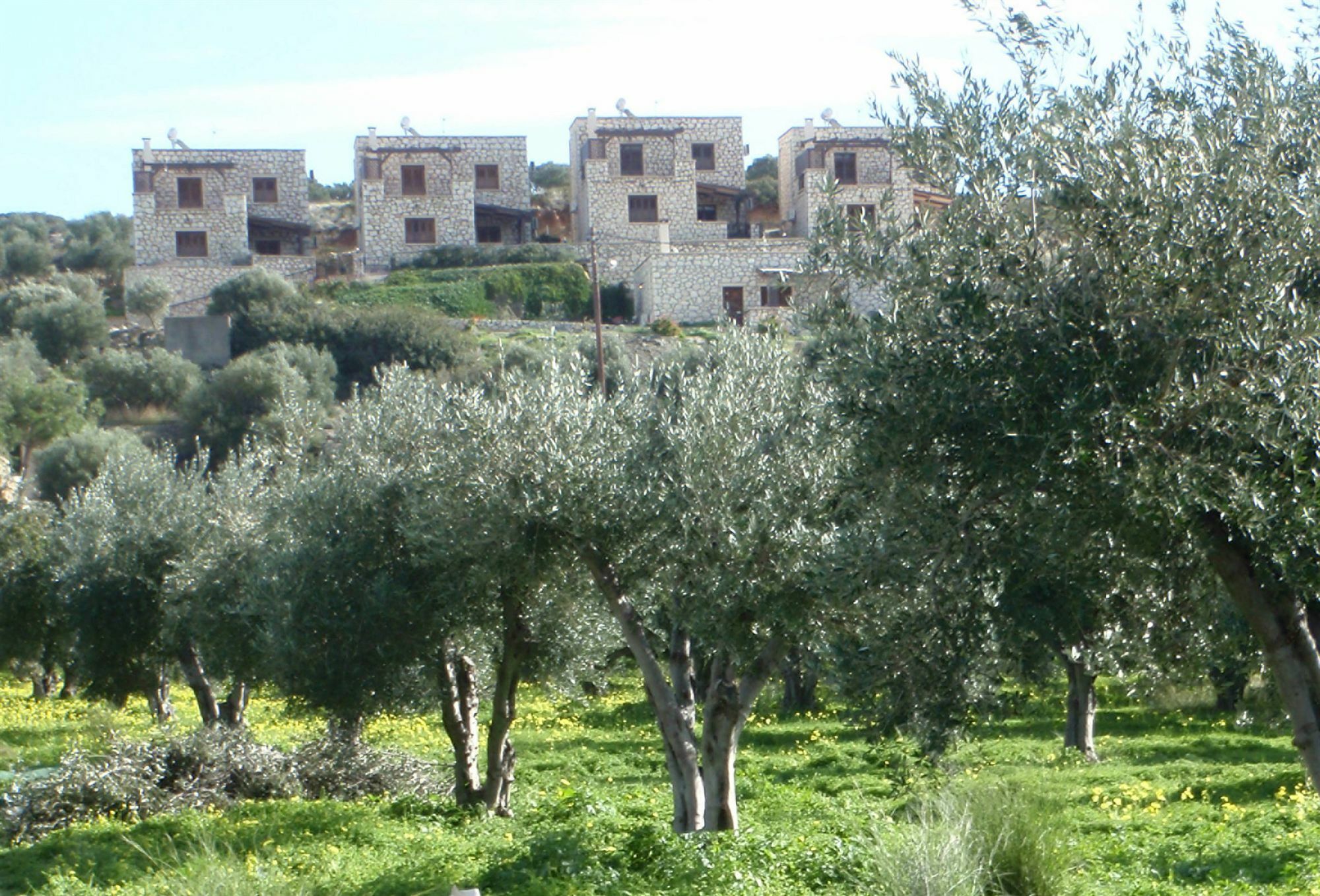 Ville Du Soleil - Exclusive Homes With Rustic Charm And Sensational Views Of The Mediterranean Sea Makrýgialos Buitenkant foto